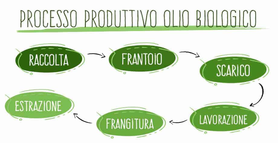 processo olio biologico