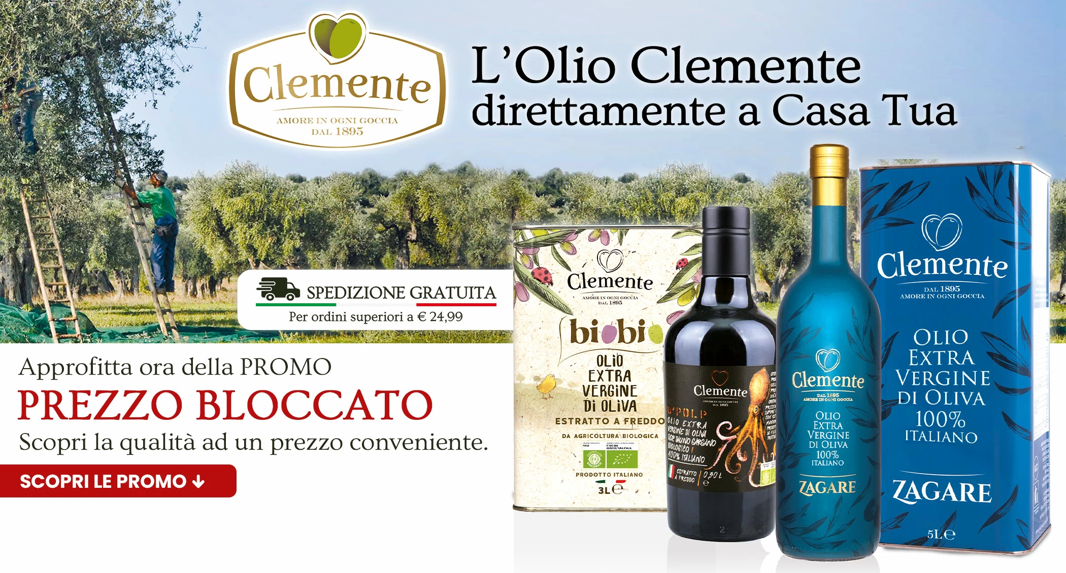 L'olio Clemente direttamente a Casa Tua